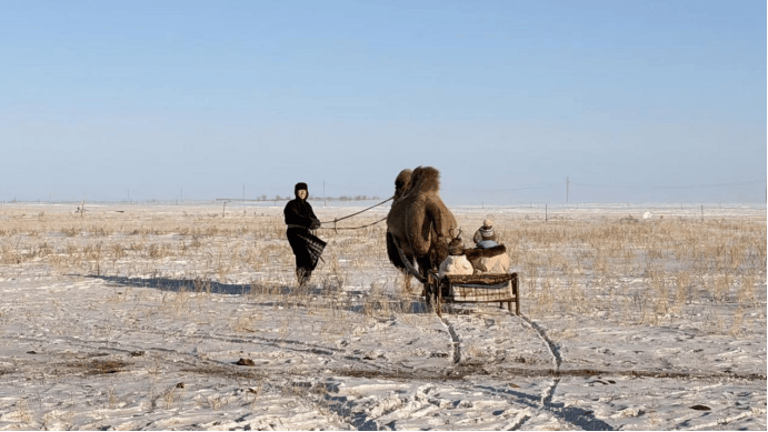 “沉浸式牧户游”狂揽百万订单麻将胡了app新巴尔虎左旗(图1)