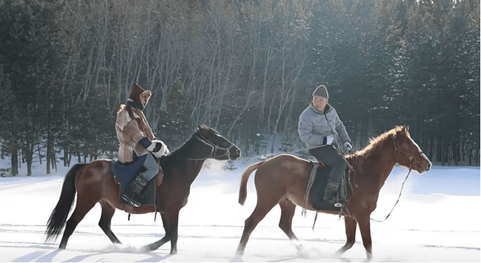 “沉浸式牧户游”狂揽百万订单麻将胡了app新巴尔虎左旗(图5)