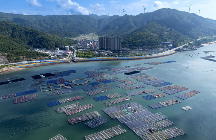 ——“中国经济圆桌会”聚焦海洋经济高质量发展麻将胡了2试玩网站精耕深蓝加快建设海洋强国(图5)