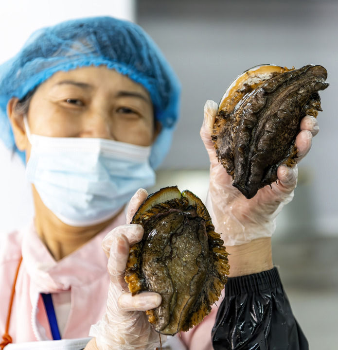 ——“中国经济圆桌会”聚焦海洋经济高质量发展麻将胡了2试玩网站精耕深蓝加快建设海洋强国(图8)