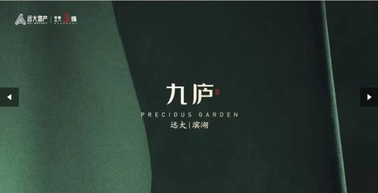 ：新计容红利最后上车机会!麻将胡了试玩合肥远大九庐(图4)